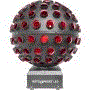 Chauvet Rotosphere.gif