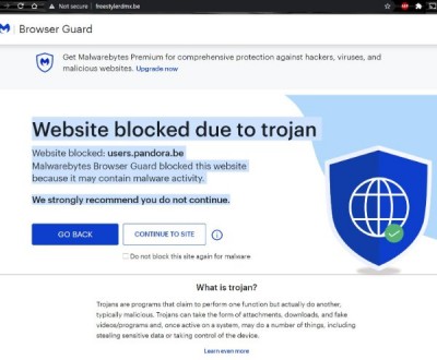 freestyler website blocked.JPG