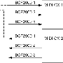 midiox_blockdiagram.gif