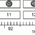 index_value_line.gif